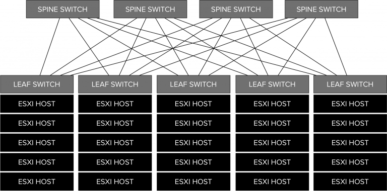 Distributed Storage Network Topology